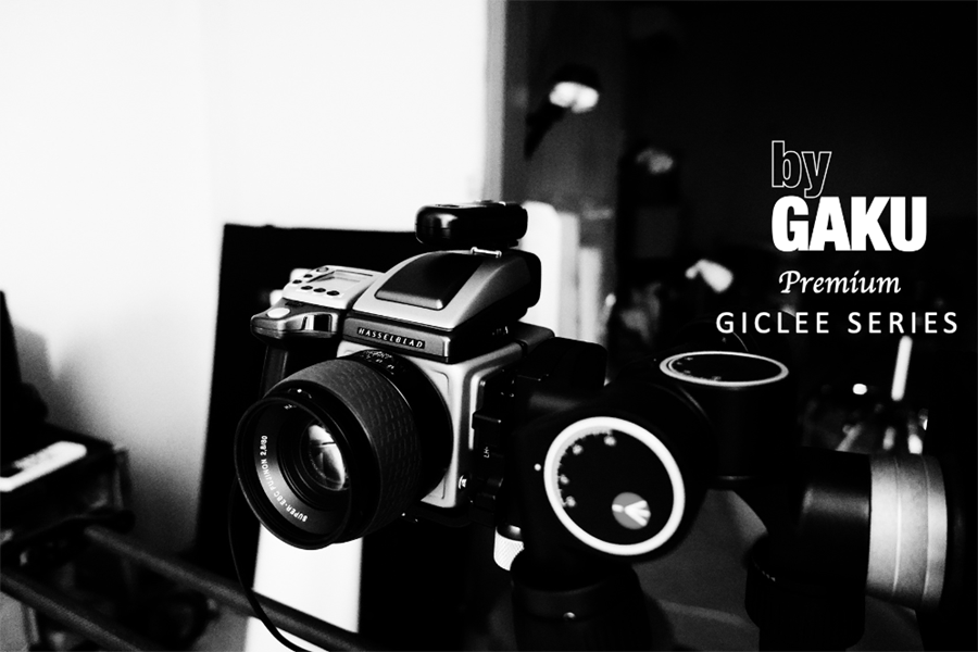 Giclee Gallery